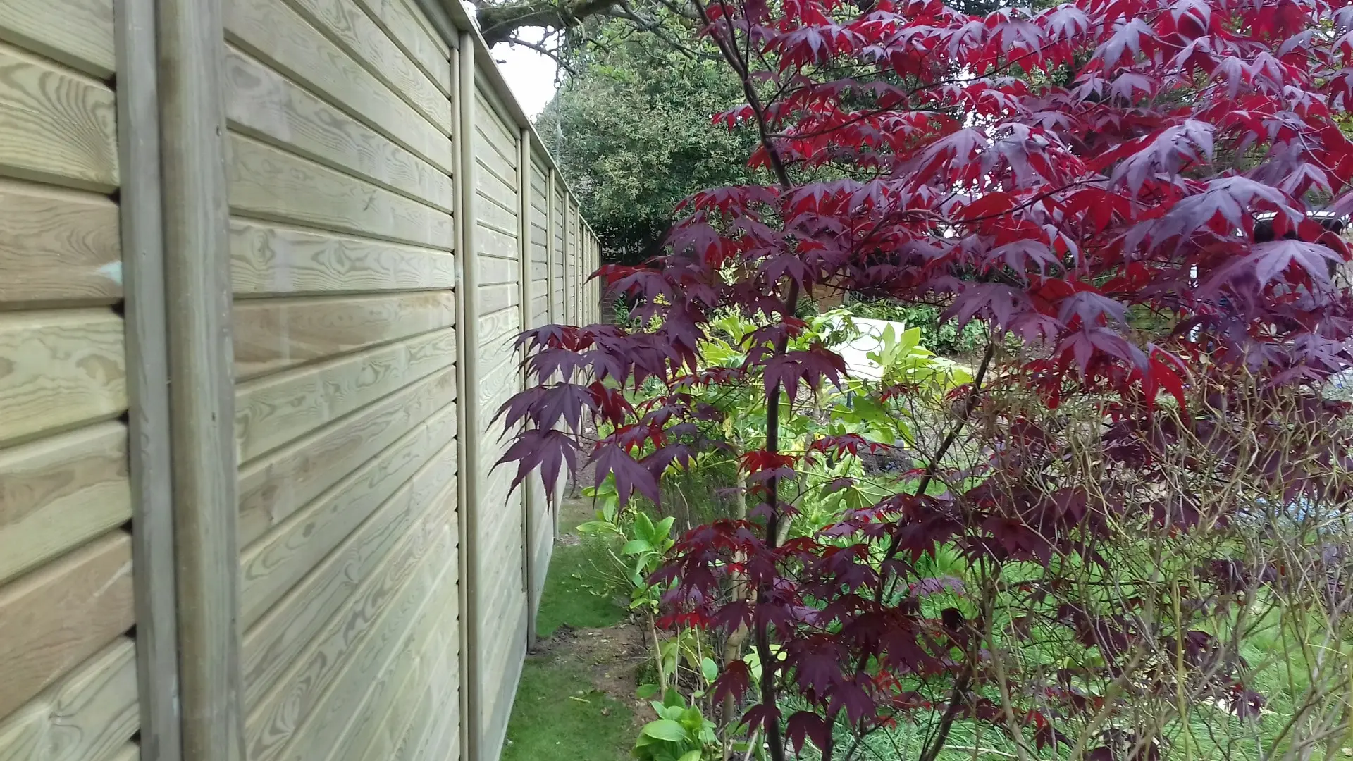 Close-boarded horizontal lap acoustic-style fencing installed by Capital Fencing, view 1