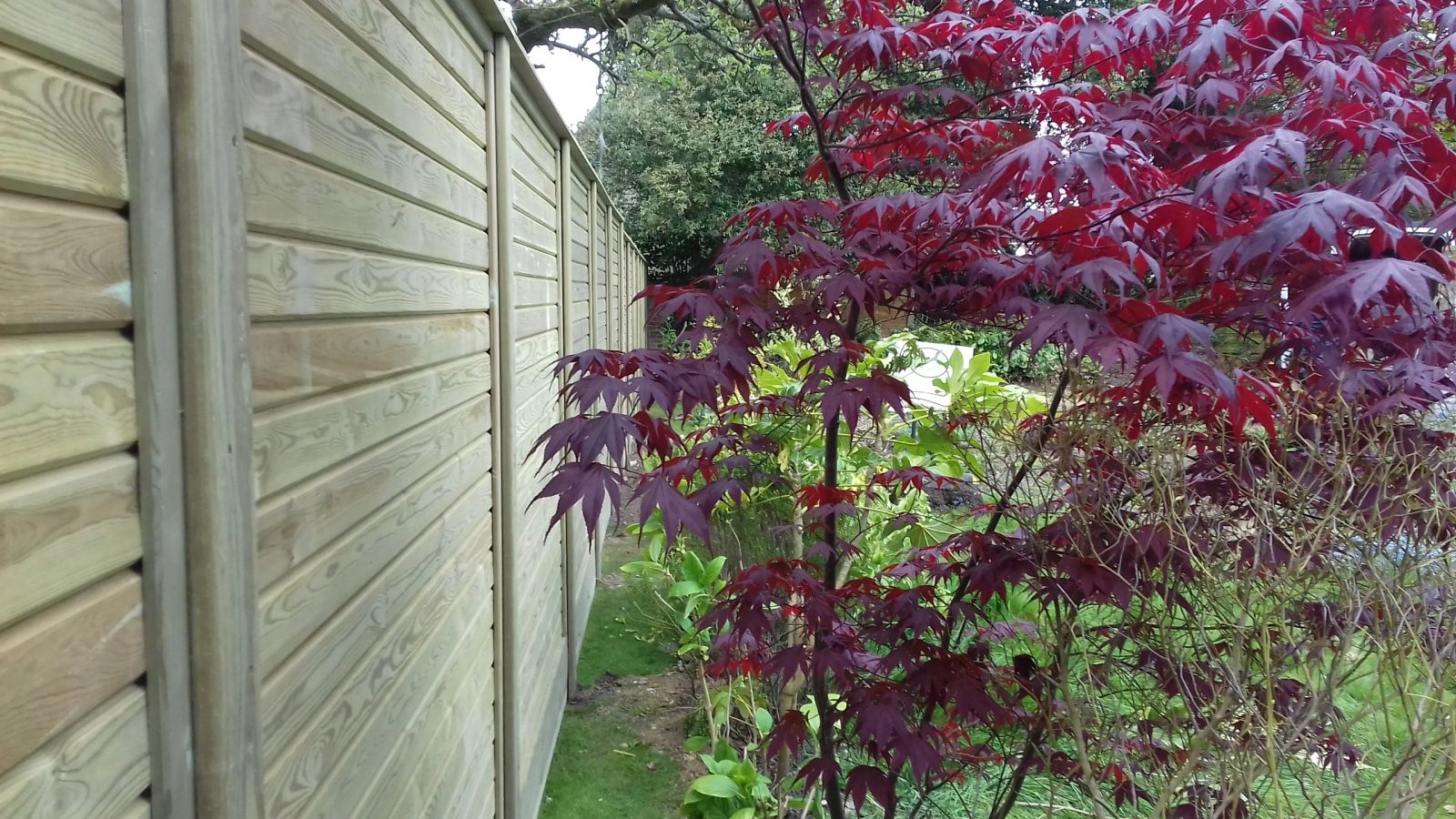 garden boundary fencing installed by Capital Fencing in Enfield (EN1)